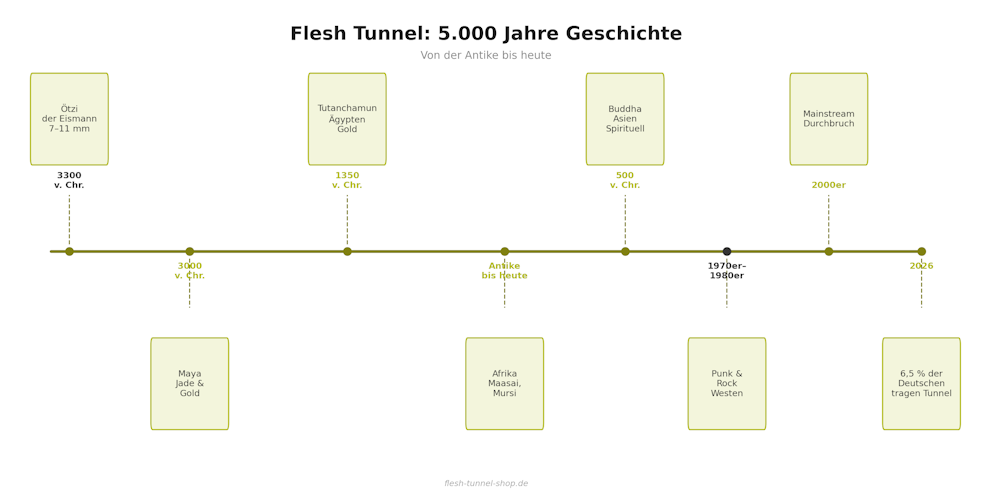 Zeitstrahl zur Geschichte der Flesh Tunnel von der Antike bis heute