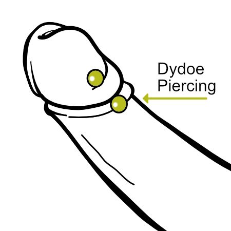 Dydoe Piercing / Eichelrand Intimpiercing
