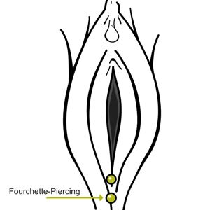 Fourchette Piercing Infos und Schmuck