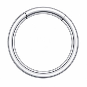 Segment Clicker Ring für Schamlippenpiercing