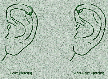 Helix Piercing im Vergleich mit Anti Helix Forward Helix Piercings