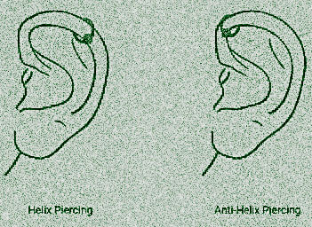 Helix Piercing im Vergleich mit Anti Helix Forward Helix Piercings