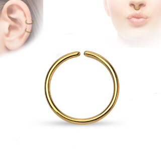 Piercing Ring - Continuous Ring - Gold [04.] - 1,0 x 6mm
