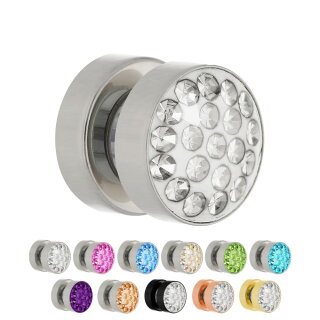1 Pair Magnet Fake Plugs with Great Motifs 