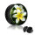 Picture Plug - Gewinde - Exotische Blume 6 mm